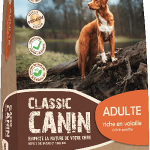 CLASSIC CANIN - ADULTE