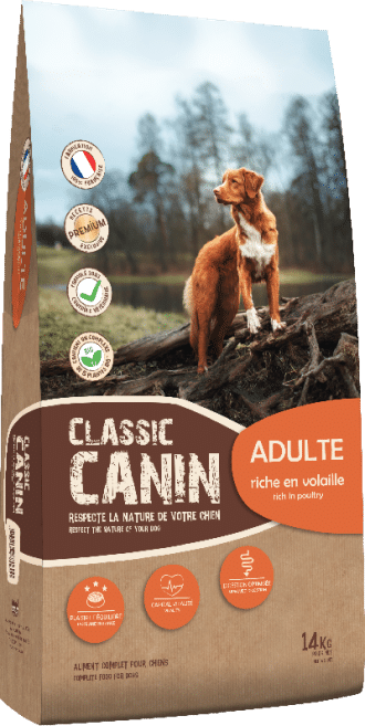 CLASSIC CANIN - ADULTE