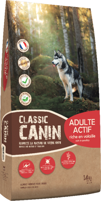 CLASSIC CANIN - ADULTE ACTIF