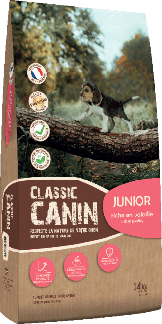 CLASSIC CANIN - JUNIOR