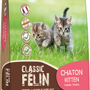 CLASSIC FELIN - CHATON