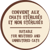 CLASSIC FELIN - CHATON – Image 2