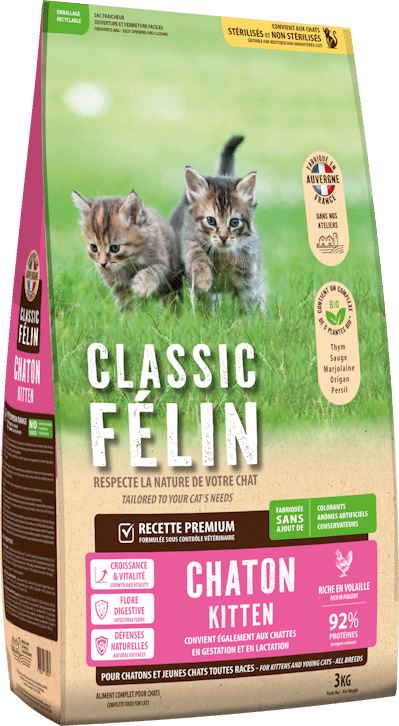 CLASSIC FELIN - CHATON